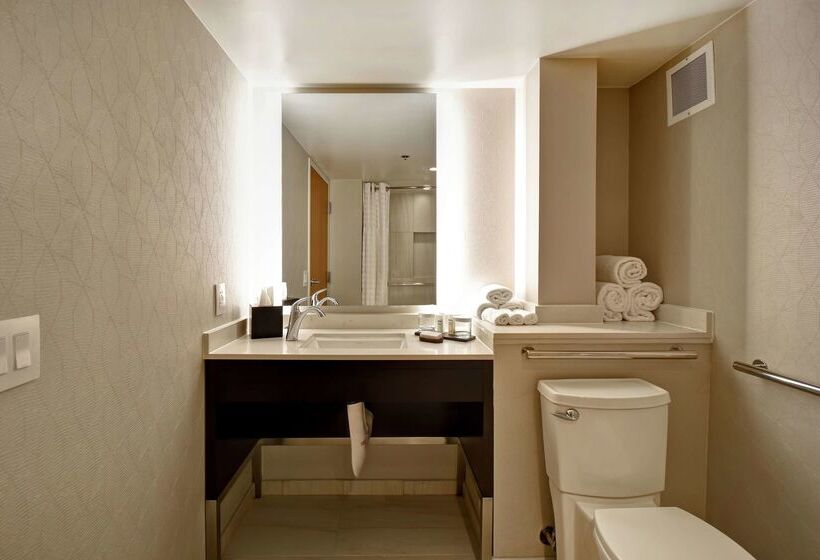 ホテル Embassy Suites By Hilton Raleigh Durham Research Triangle