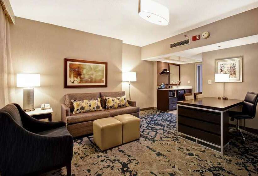 ホテル Embassy Suites By Hilton Raleigh Durham Research Triangle