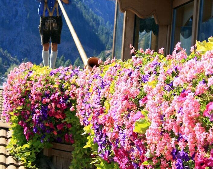 ホテル Enzian Inn