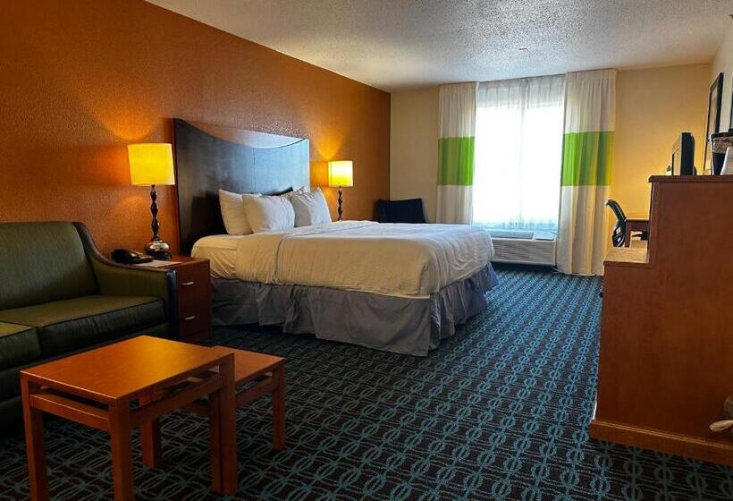 酒店 Best Western Plus Fenton