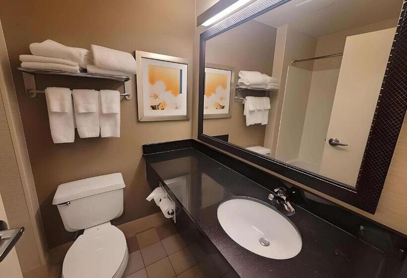 בית מלון כפרי Dubuque Inn & Suites