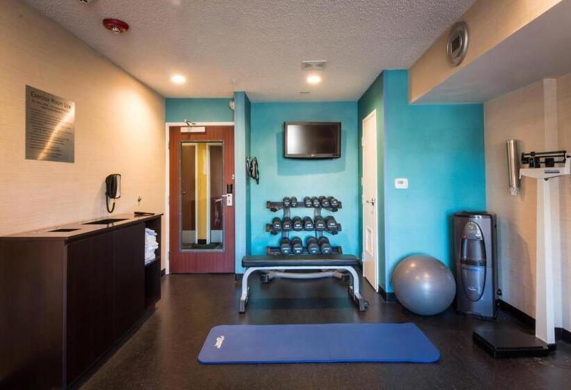 ホテル Fairfield Inn By Marriott Las Cruces