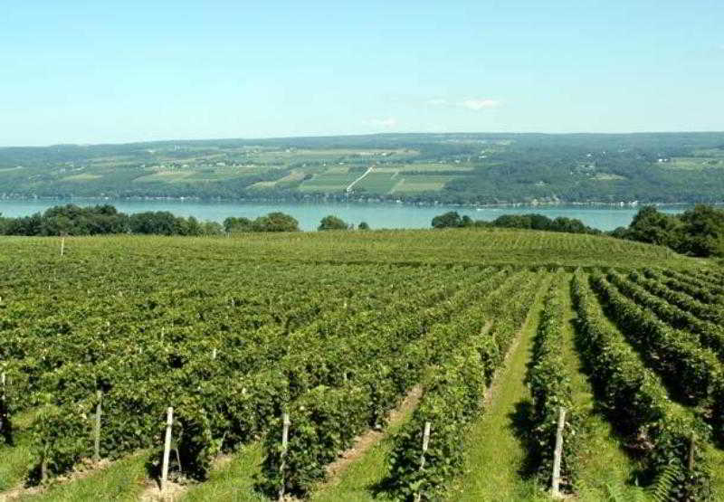 酒店 Fairfield Inn Roseville