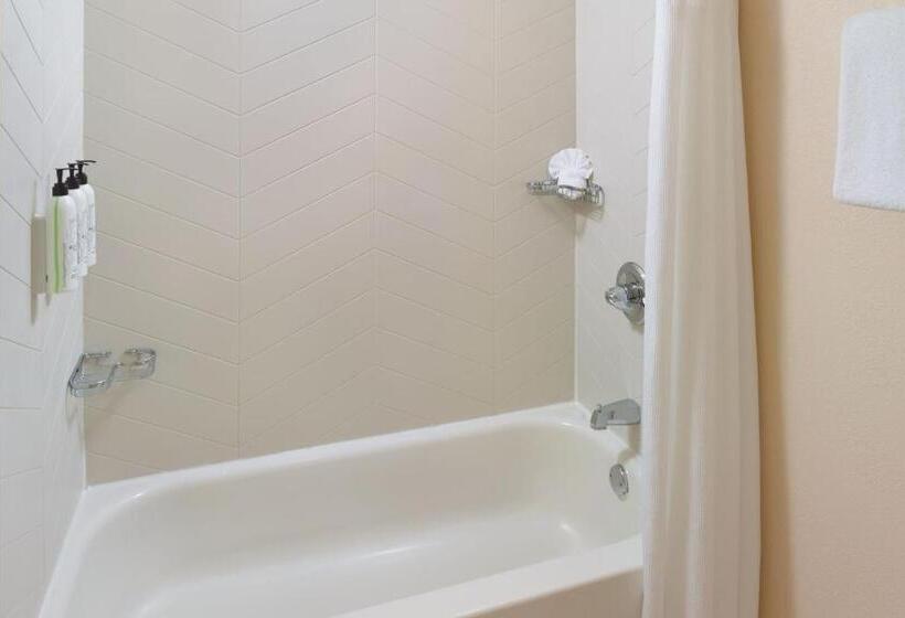 فندق Fairfield Inn & Suites By Marriott Atlanta Alpharetta