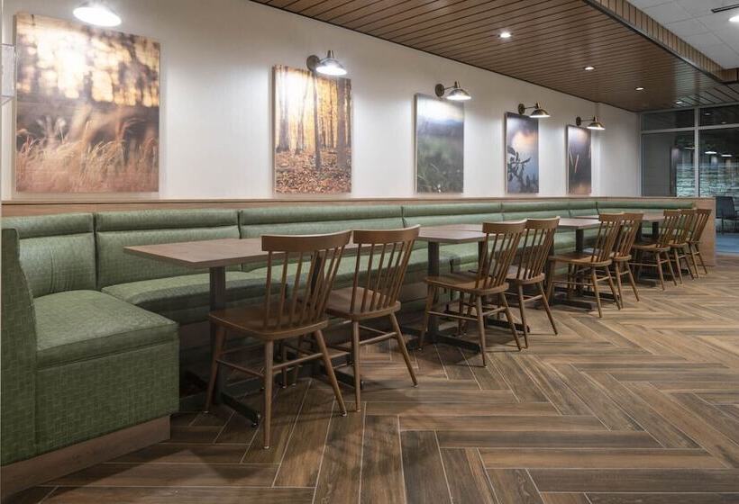 ホテル Fairfield By Marriott Inn & Suites Dallas Dfw Airport North, Irving