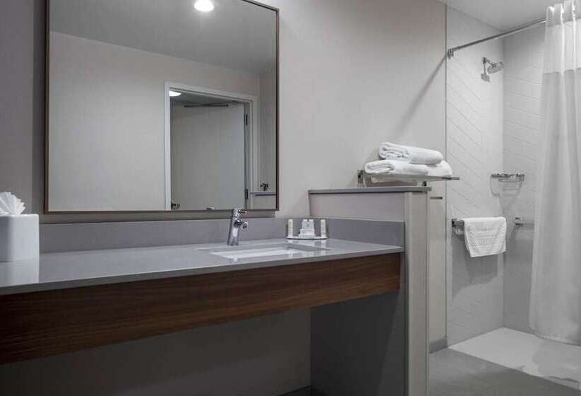 ホテル Fairfield By Marriott Inn & Suites Dallas Dfw Airport North, Irving