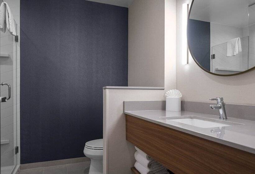 هتل Fairfield By Marriott Inn & Suites Dallas Dfw Airport North, Irving