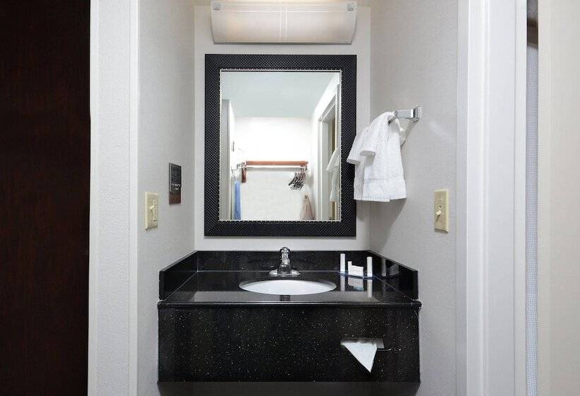 酒店 Fairfield Inn & Suites By Marriott Charlottesville North