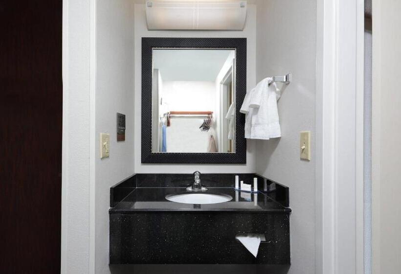 酒店 Fairfield Inn & Suites By Marriott Charlottesville North