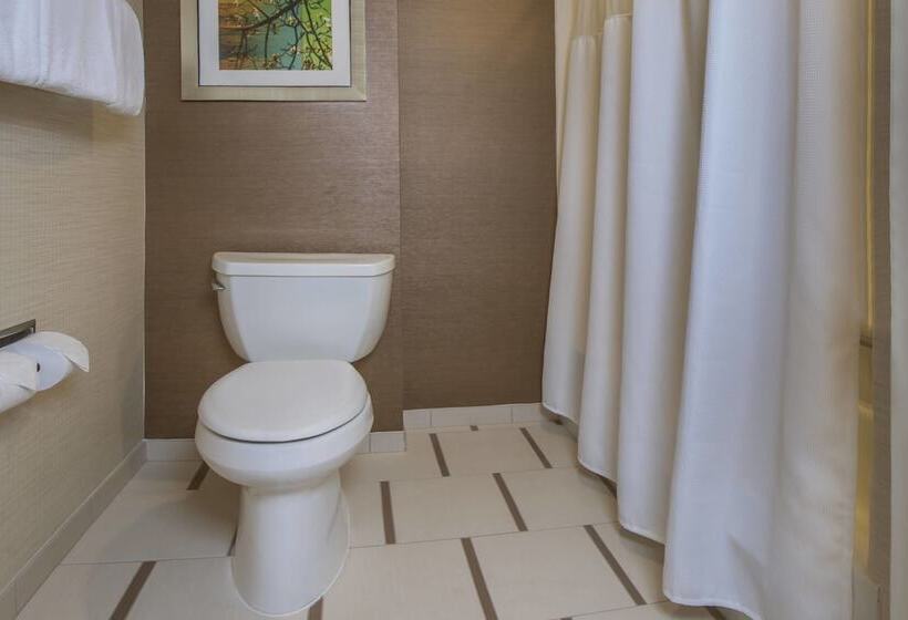 ホテル Fairfield Inn & Suites By Marriott Frederick