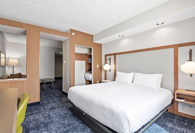 فندق Fairfield Inn & Suites By Marriott Hickory