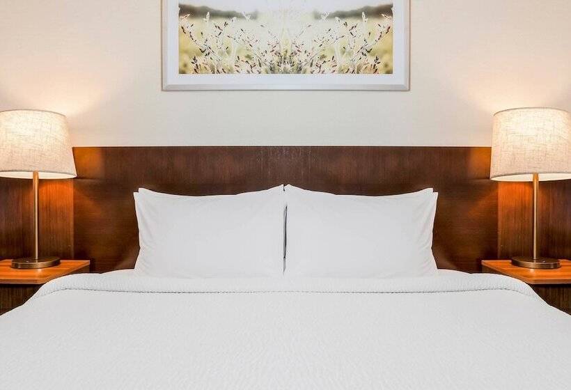 בית מלון כפרי Fairfield Inn & Suites Houston Westchase