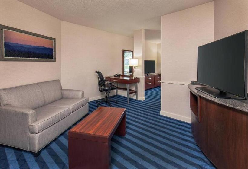 ホテル Fairfield Inn & Suites Lancaster