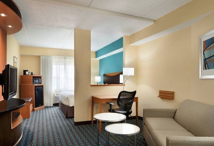ホテル Fairfield Inn & Suites Minneapolis Bloomington/mall Of America