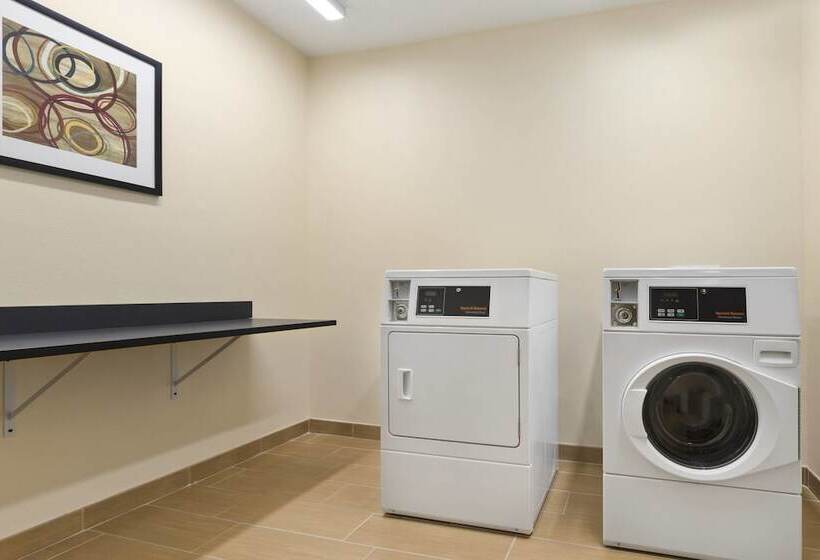 فندق Fairfield Inn & Suites Saginaw