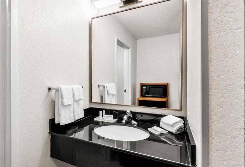 בית מלון כפרי Fairfield Inn & Suites By Marriott San Antonio Downtown/market Square