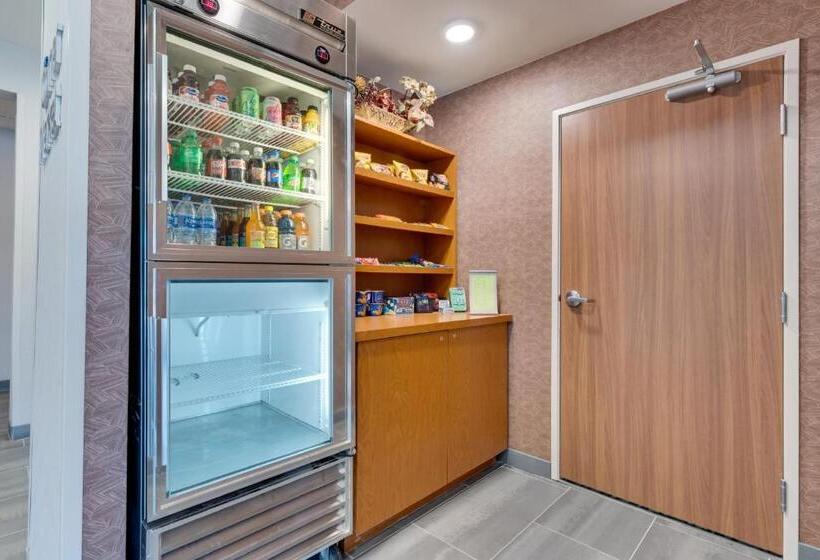 فندق Fairfield Inn & Suites By Marriott Spearfish