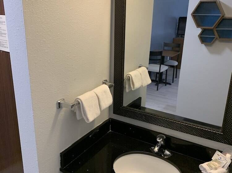 هتل Hometowne Studios By Red Roof East Lansing   Okemos