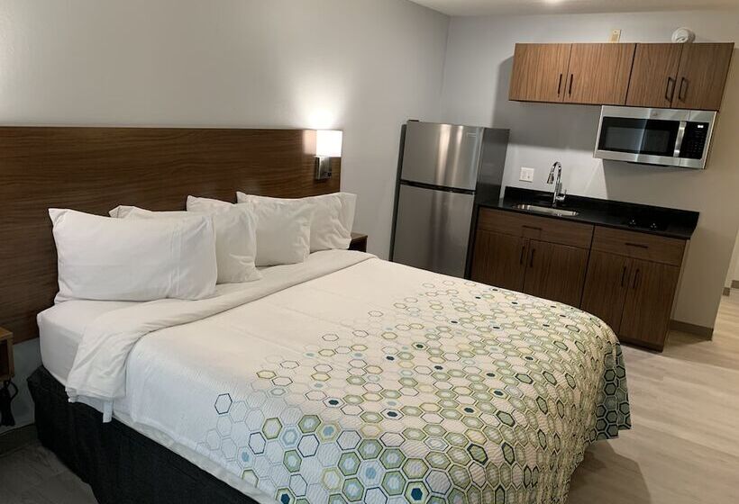 هتل Hometowne Studios By Red Roof East Lansing   Okemos