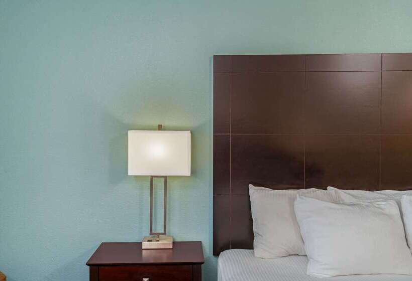 호텔 La Quinta By Wyndham Knoxville Airport