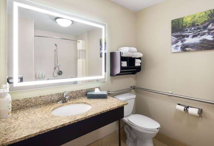 호텔 La Quinta By Wyndham Knoxville Airport