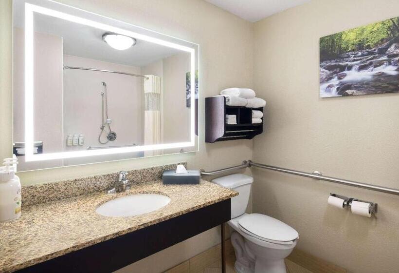 호텔 La Quinta By Wyndham Knoxville Airport