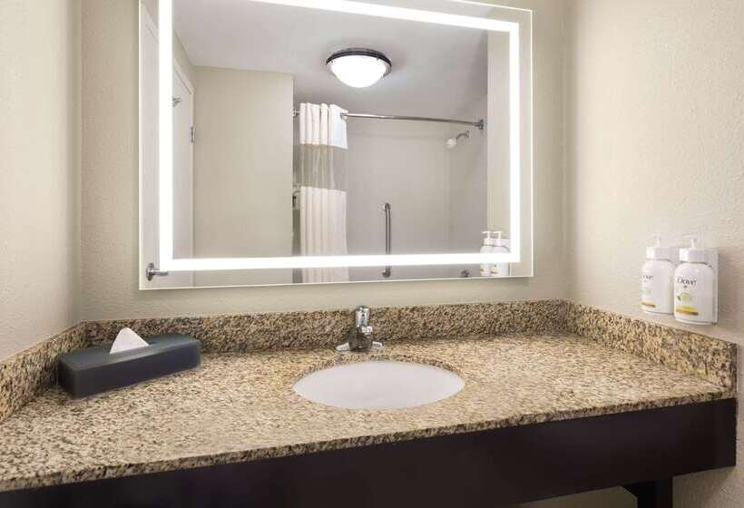 호텔 La Quinta By Wyndham Knoxville Airport