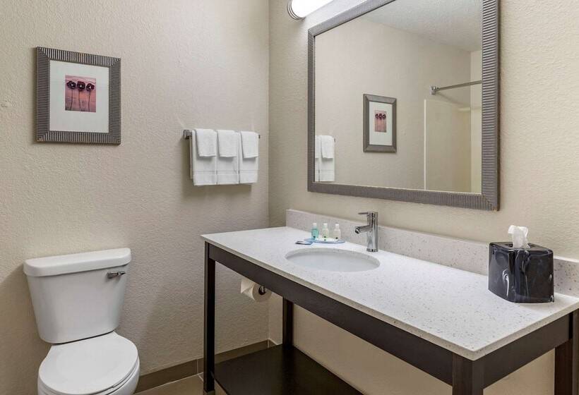 فندق Quality Inn & Suites