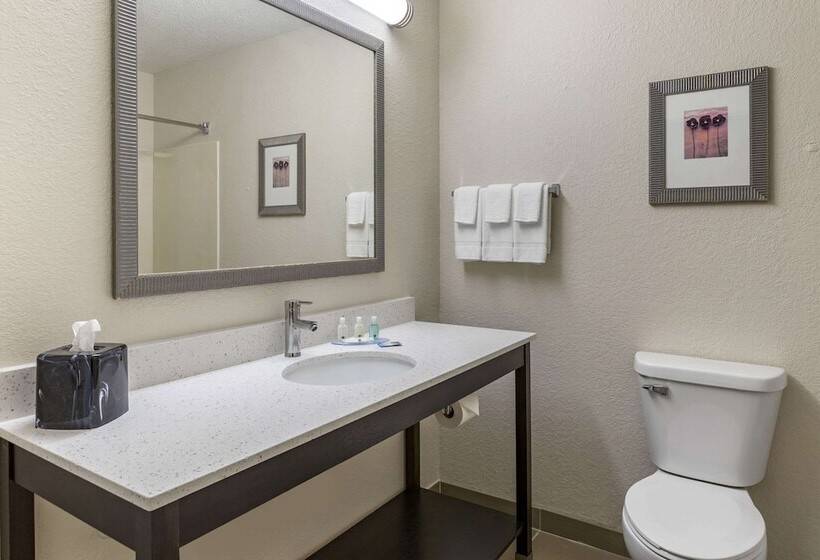 فندق Quality Inn & Suites