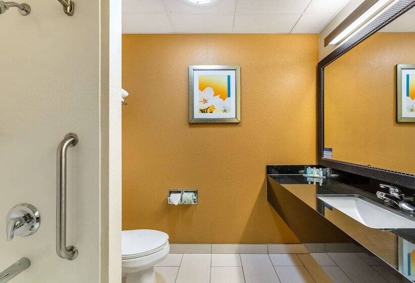 ホテル Quality Inn & Suites Sandusky