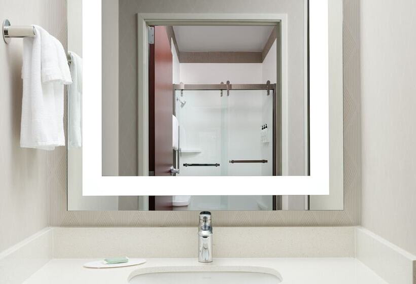 호텔 Springhill Suites Kansas City Overland Park