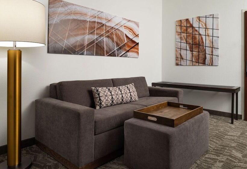 호텔 Springhill Suites Kansas City Overland Park