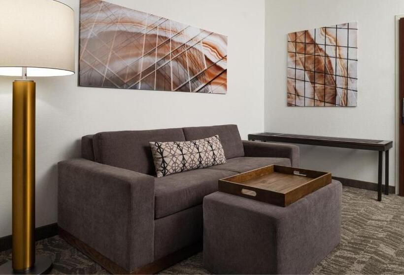 호텔 Springhill Suites Kansas City Overland Park