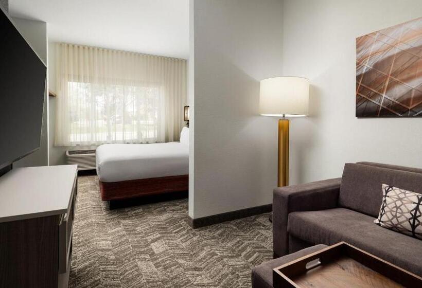 호텔 Springhill Suites Kansas City Overland Park