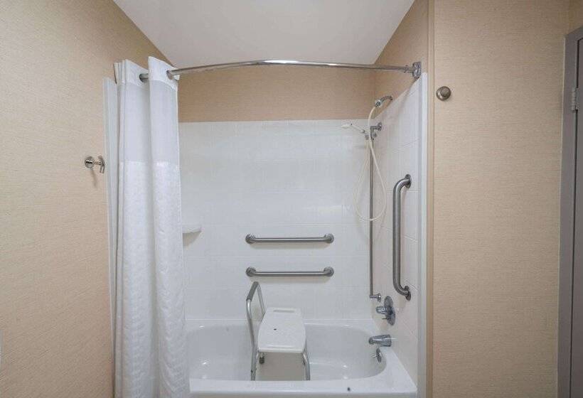 هتل Wingate By Wyndham Fletcher At Asheville Airport