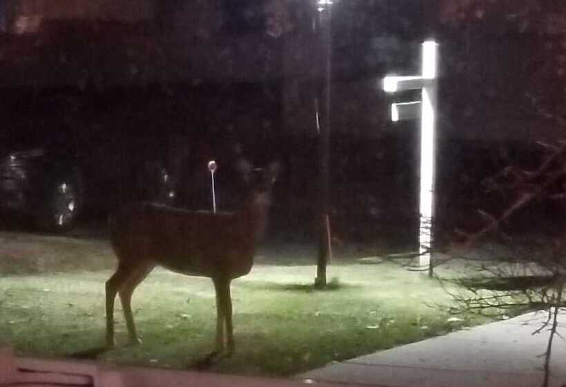 فندق على الطريق Edgewater Resort