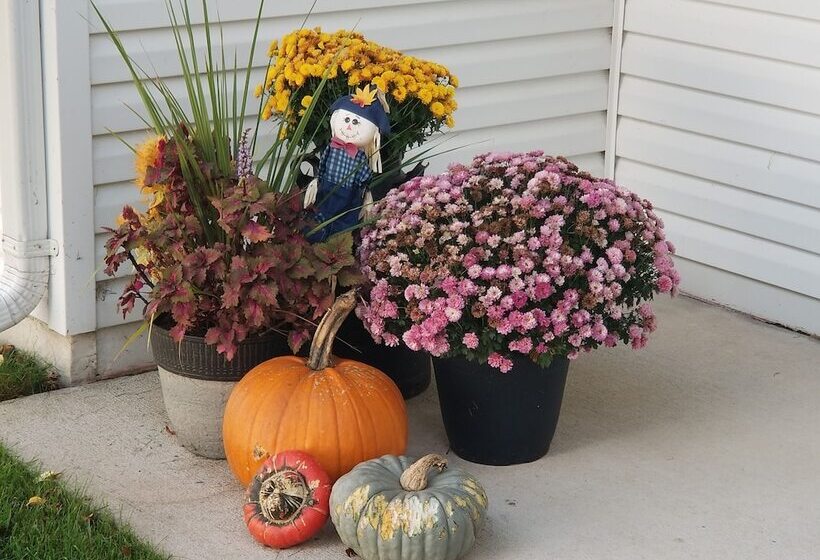 فندق على الطريق Edgewater Resort