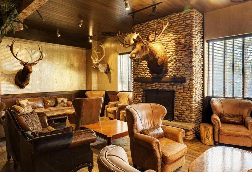 汽车旅馆  El Rancho