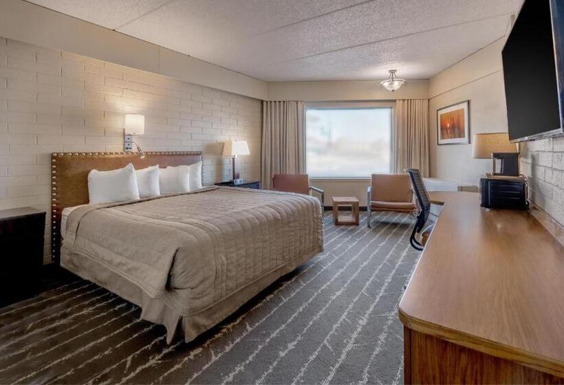 汽车旅馆  El Rancho