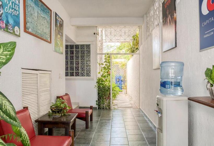 הוסטל Capital O Farallon Inn, Cancún