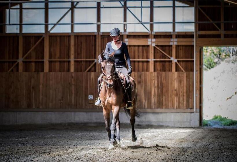 בית מלון כפרי Chalet & Appartement Zingerlehof Trens