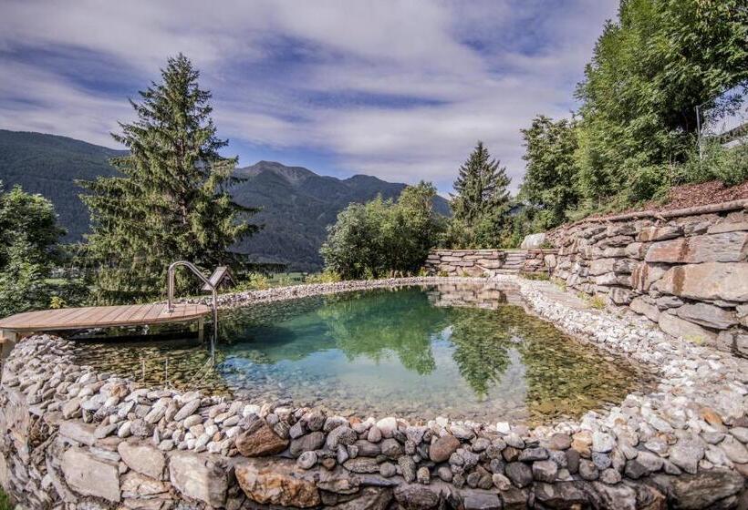 בית מלון כפרי Chalet & Appartement Zingerlehof Trens