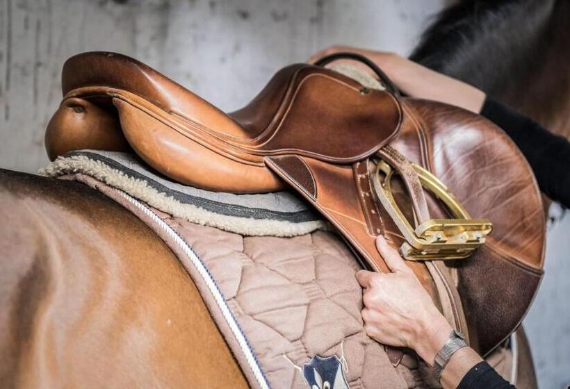 בית מלון כפרי Chalet & Appartement Zingerlehof Trens