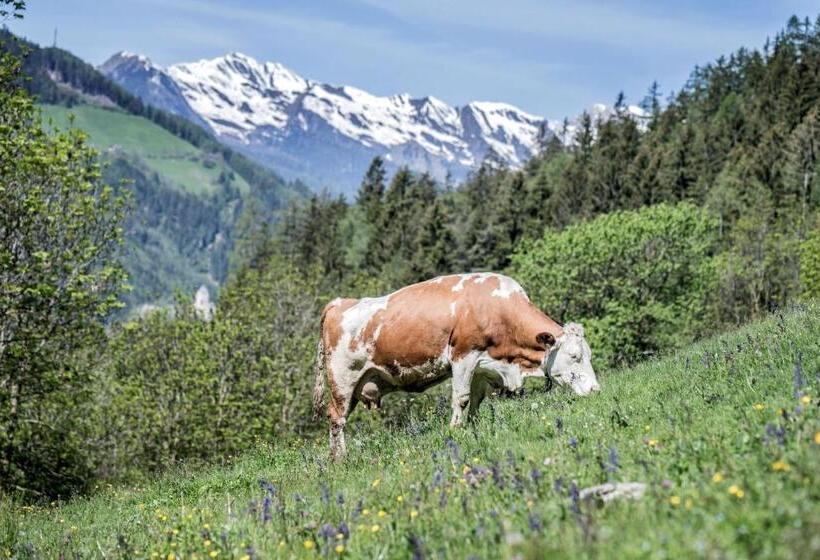 בית מלון כפרי Chalet & Appartement Zingerlehof Trens