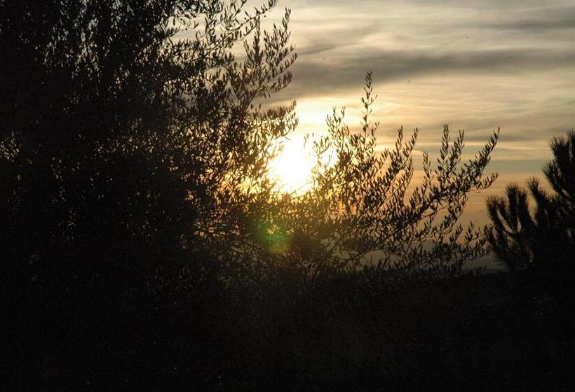 호텔 La Palazzetta Di Luca E Flavio