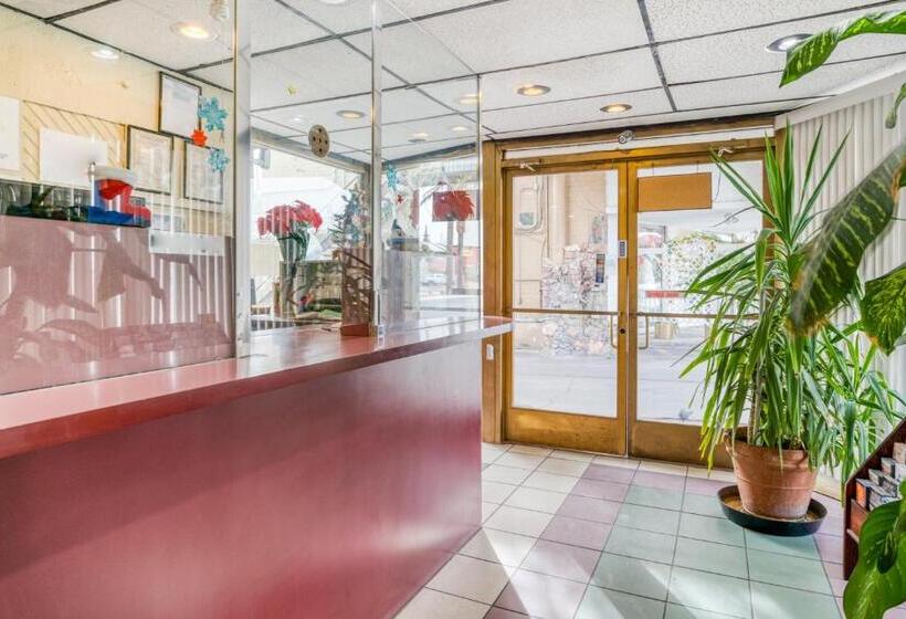 モーテル Las Vegas Oasis