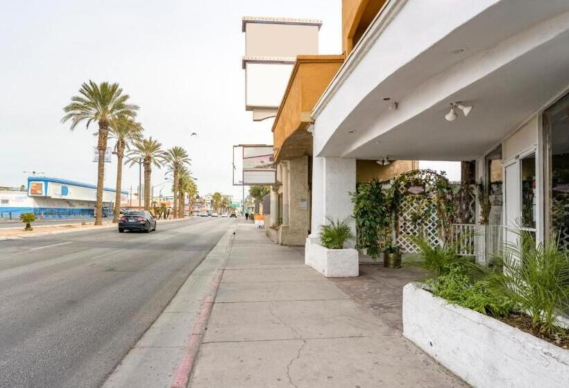 モーテル Las Vegas Oasis