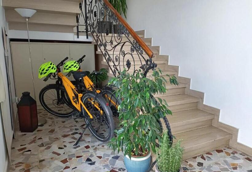 Pensjonat Balabuska Rooms & Garden