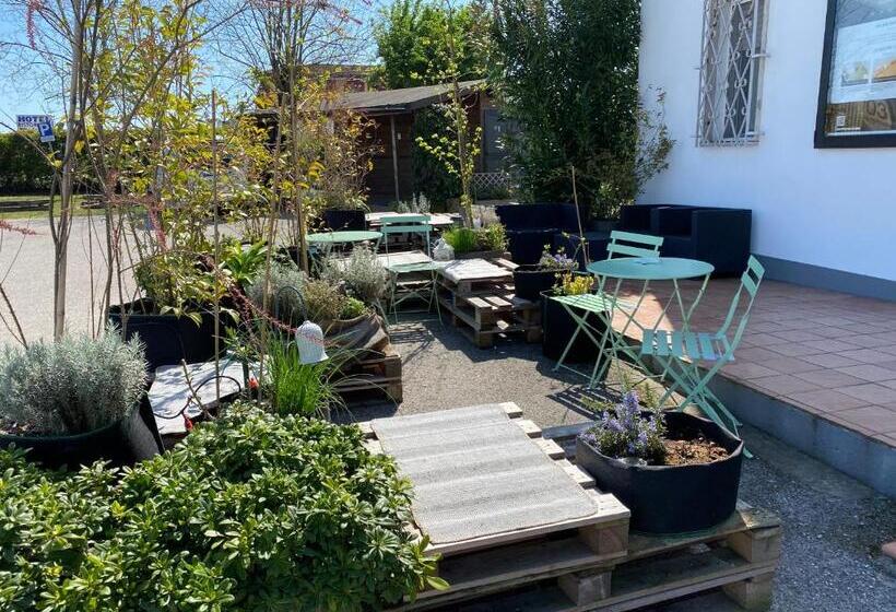 Pensjonat Balabuska Rooms & Garden