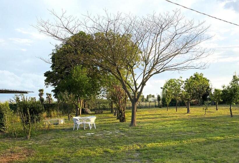 Pensjonat Balabuska Rooms & Garden